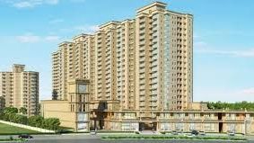 Signature The Millennia 1