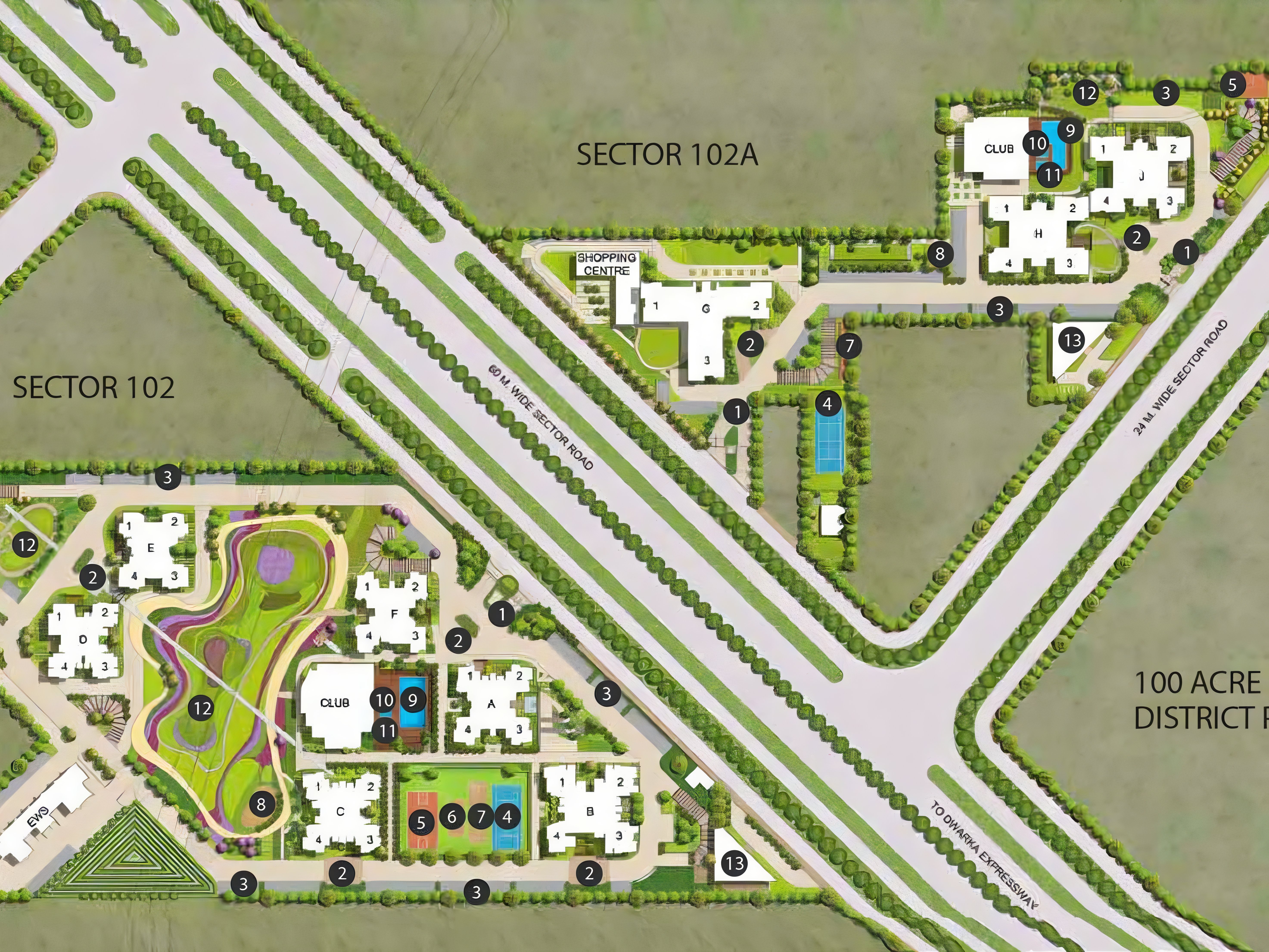 Site Layout