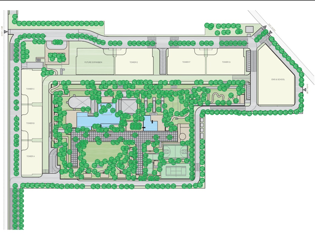 Site Layout