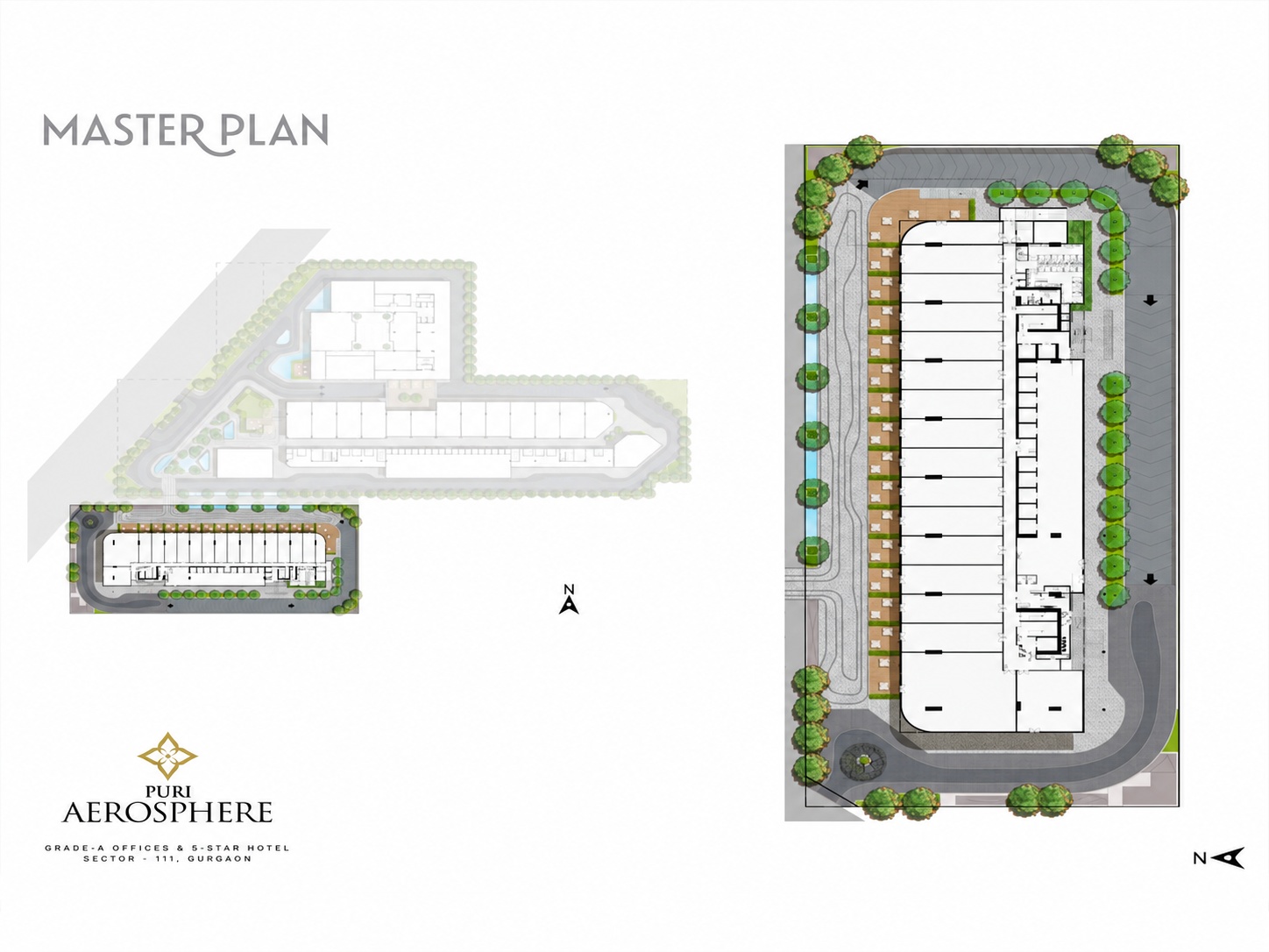 Site Layout